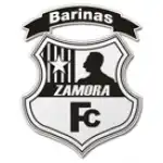 logo Zamora
