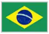 logo brasil